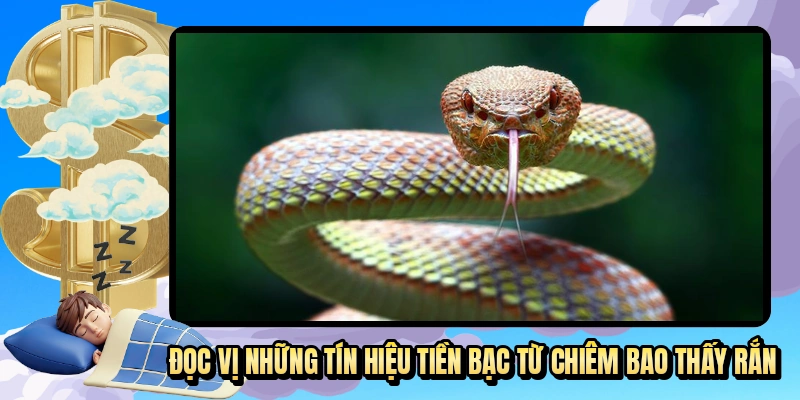 Đọc vị những tín hiệu tiền bạc từ chiêm bao thấy rắn